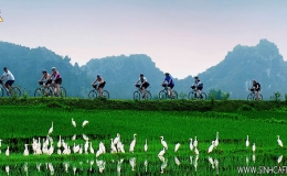 Ba Vi National Park 01 Day Depart At Hanoi