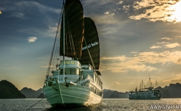 Oriental Sails 03 Days