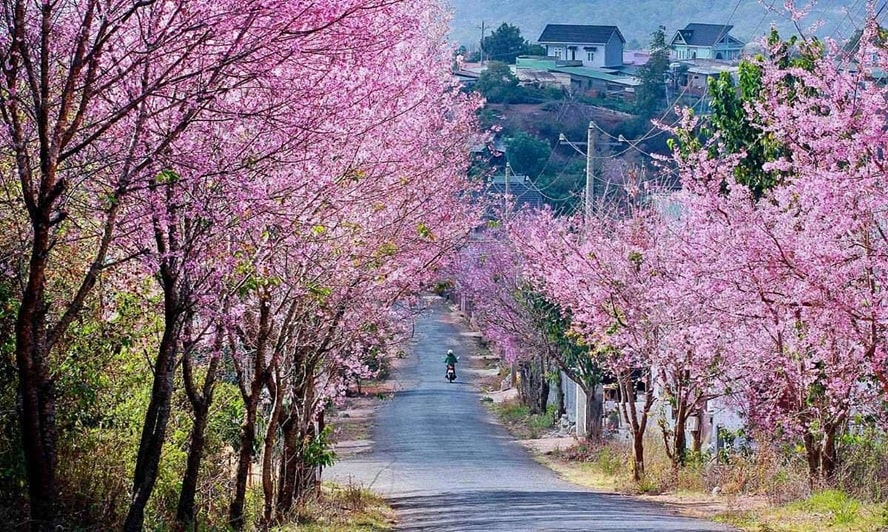 Dalat weather in Vietnam 