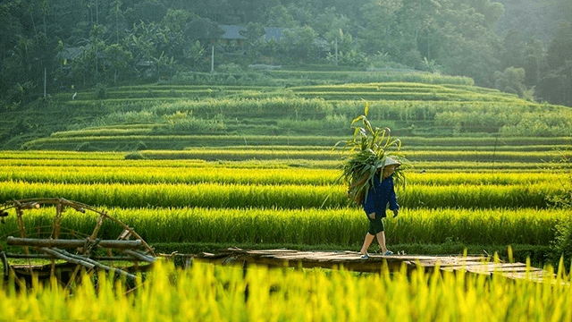 The right time to start a trip to Pu Luong