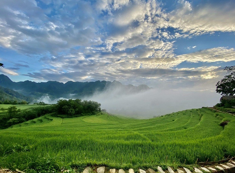 Pu Luong weather by month