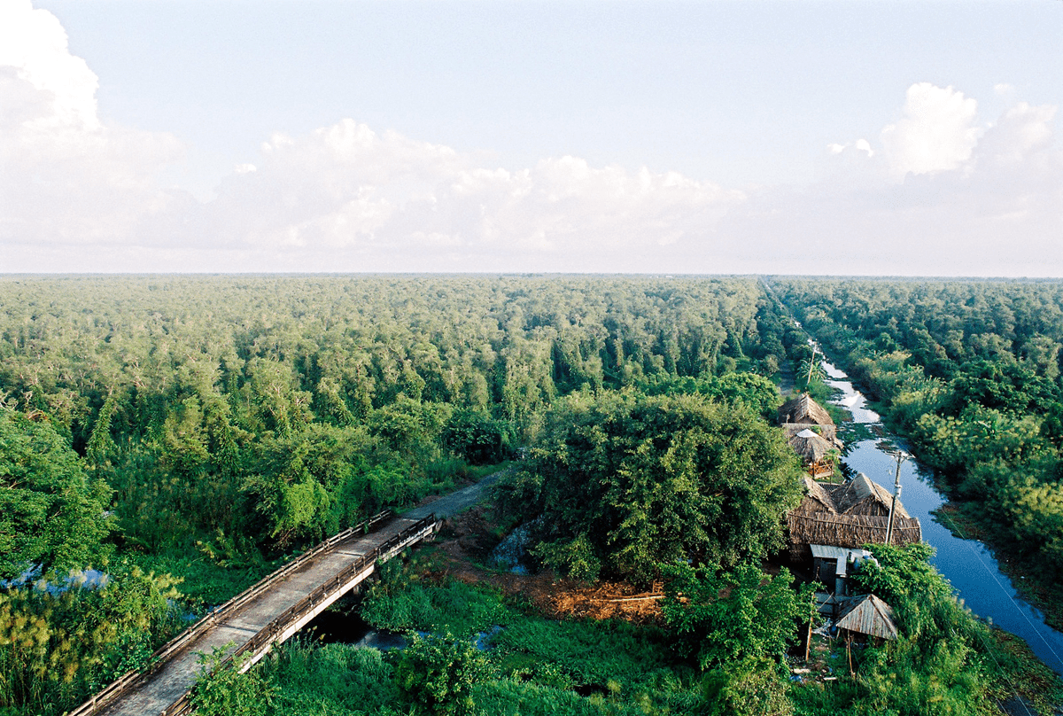 Basic information about U Minh Ha National Park