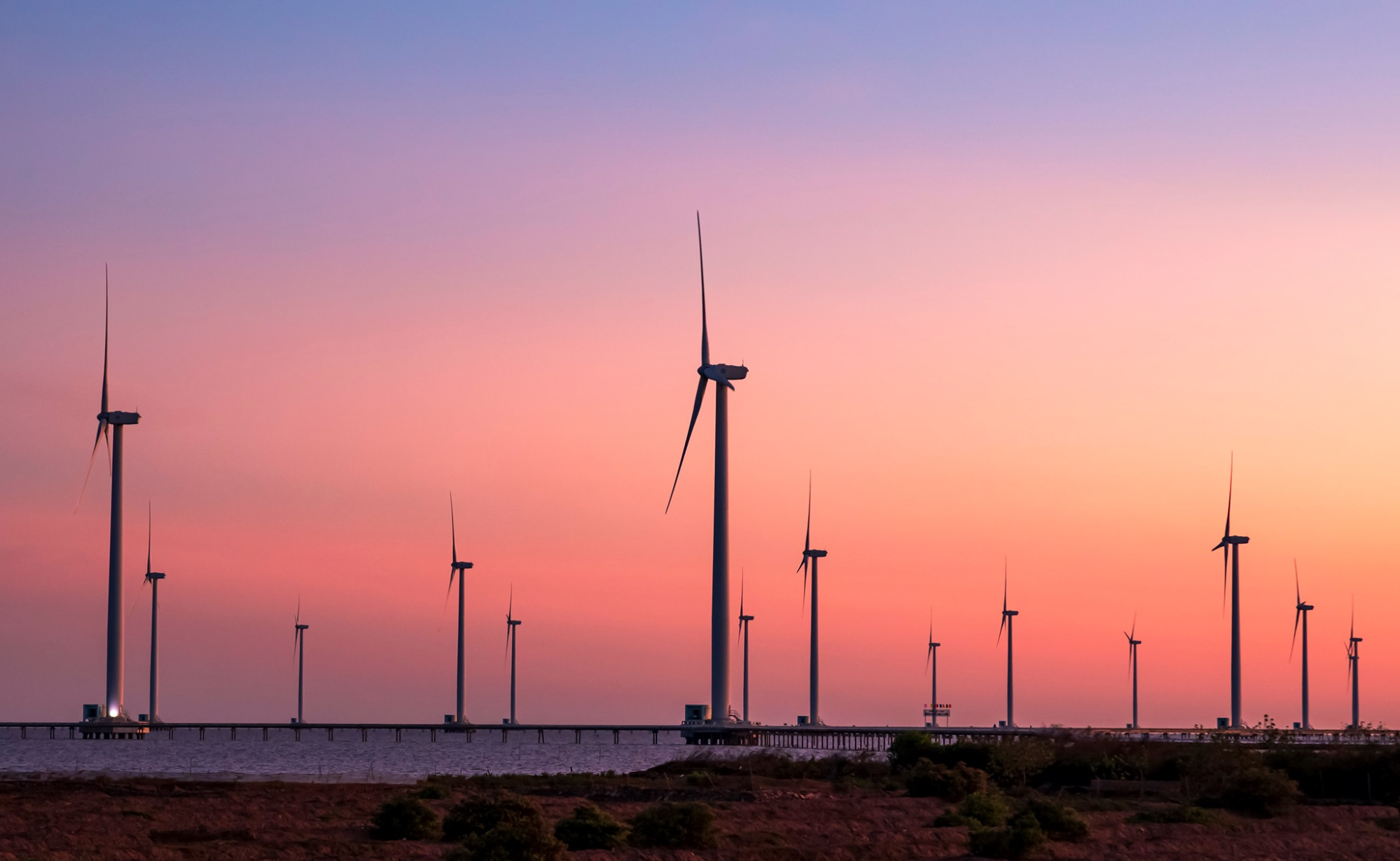 Sunset scene at the wind power field