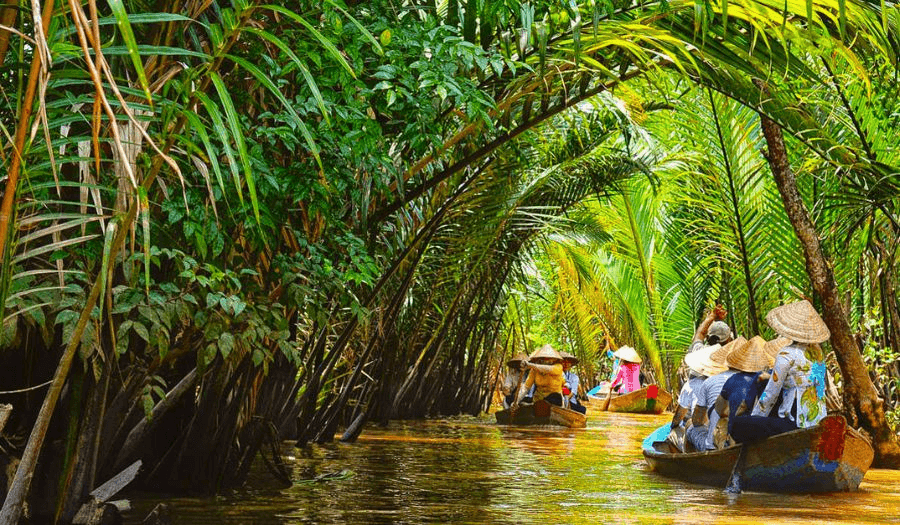 Boating to explore the coconut forest