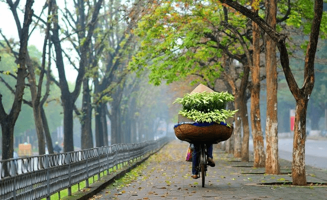 Hanoi is beautiful in autumn