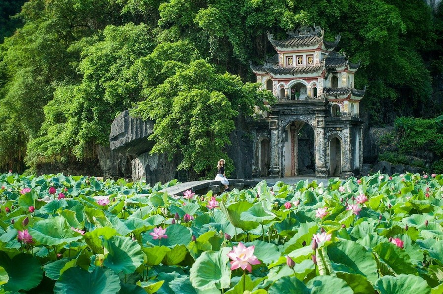 Bich Dong Pagoda in lotus blooming season