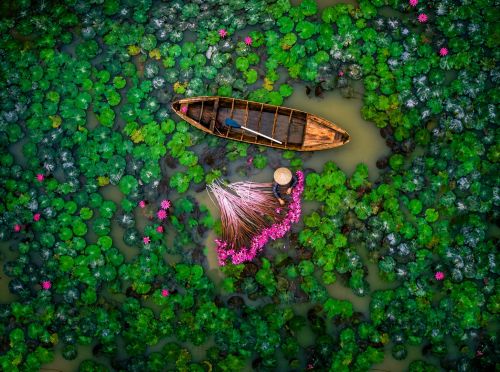 2-Day Mekong Delta Tour: Best Homestay for an overnight stay