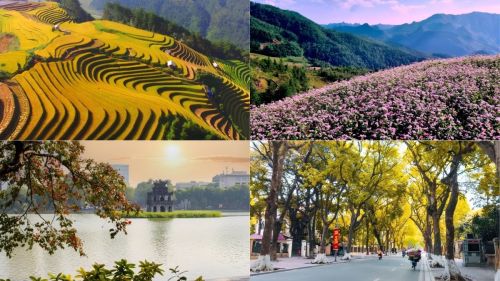 Best Time to Visit Vietnam October: Weather, Rice Harvest & Where to Go