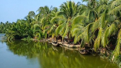 Into the heart of coconut land: a Mekong Delta escape
