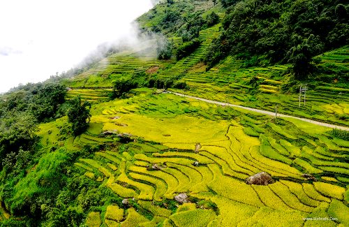Top 10 must-try things to do in Sapa for an unforgettable adventure