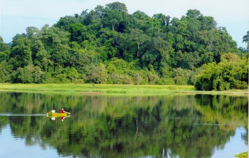 Nam Cat Tien National Park Guide: What to Know Before You Go 