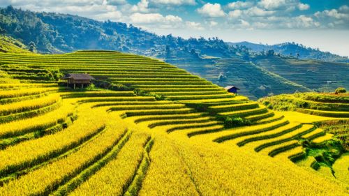 North Vietnam Itinerary 10 Days by train & bus: A Self-Guided route without a car