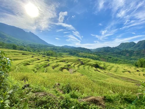 Pu Luong Rice Season: A Hidden Paradise for Nature Lovers