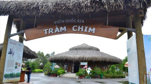 Tram Chim National Park: Not Just a Place to See Red-Headed Cranes