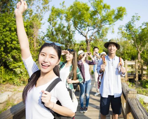 Vietnam Tour Guide: Private Guides, City Tours and Local Experiences Explained