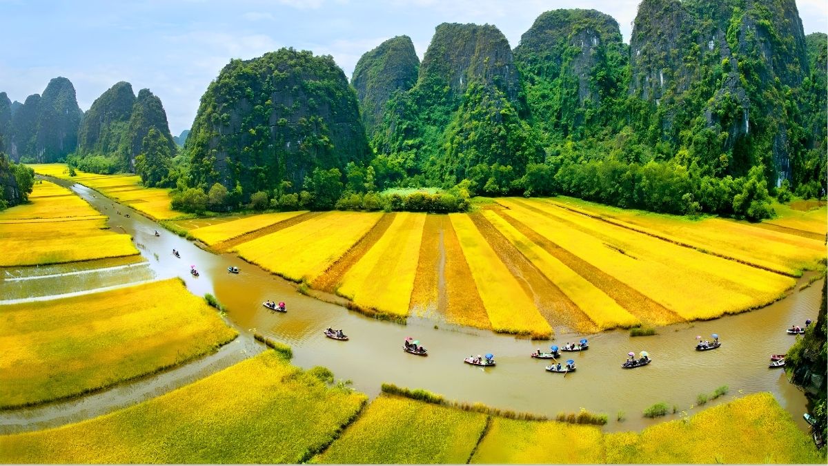 best-time-to-see-rice-fields-in-vietnam-2