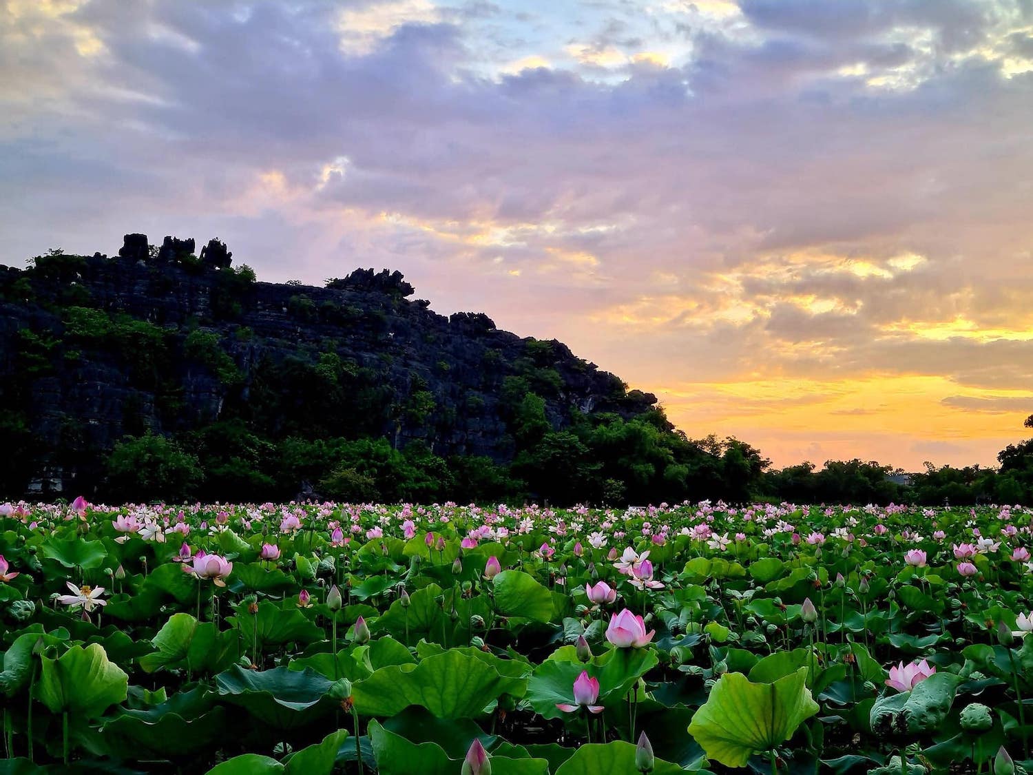 best-time-to-visit-vietnam-in-june-2