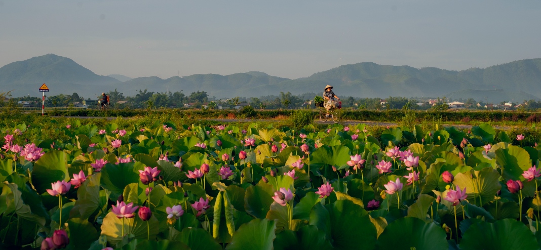 best-time-to-visit-vietnam-in-june-4