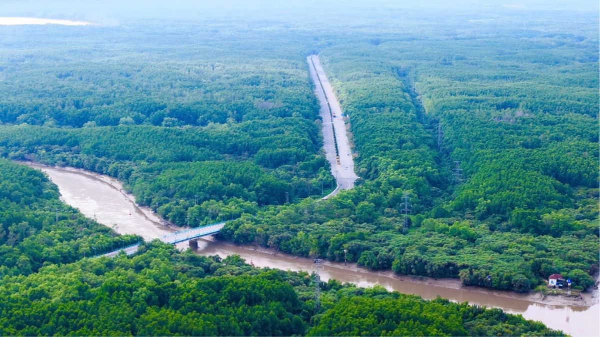 can-gio-mangrove-forest-3
