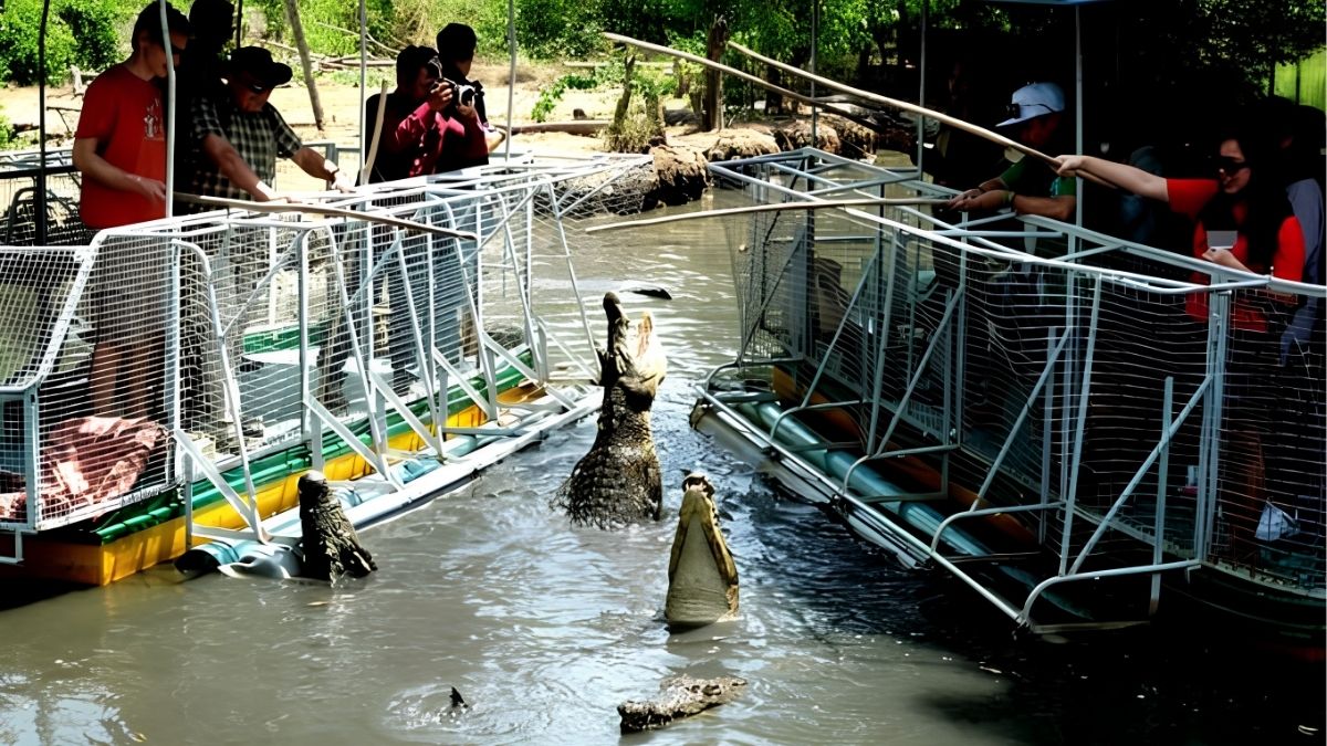 can-gio-mangrove-forest-8