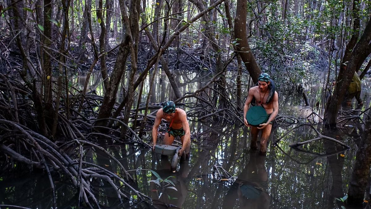 can-gio-mangrove-forest-9
