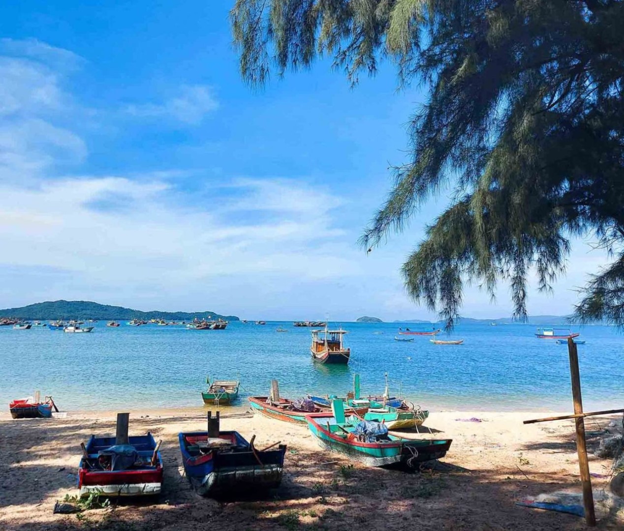 how-to-get-around-co-to-island-like-a-local-