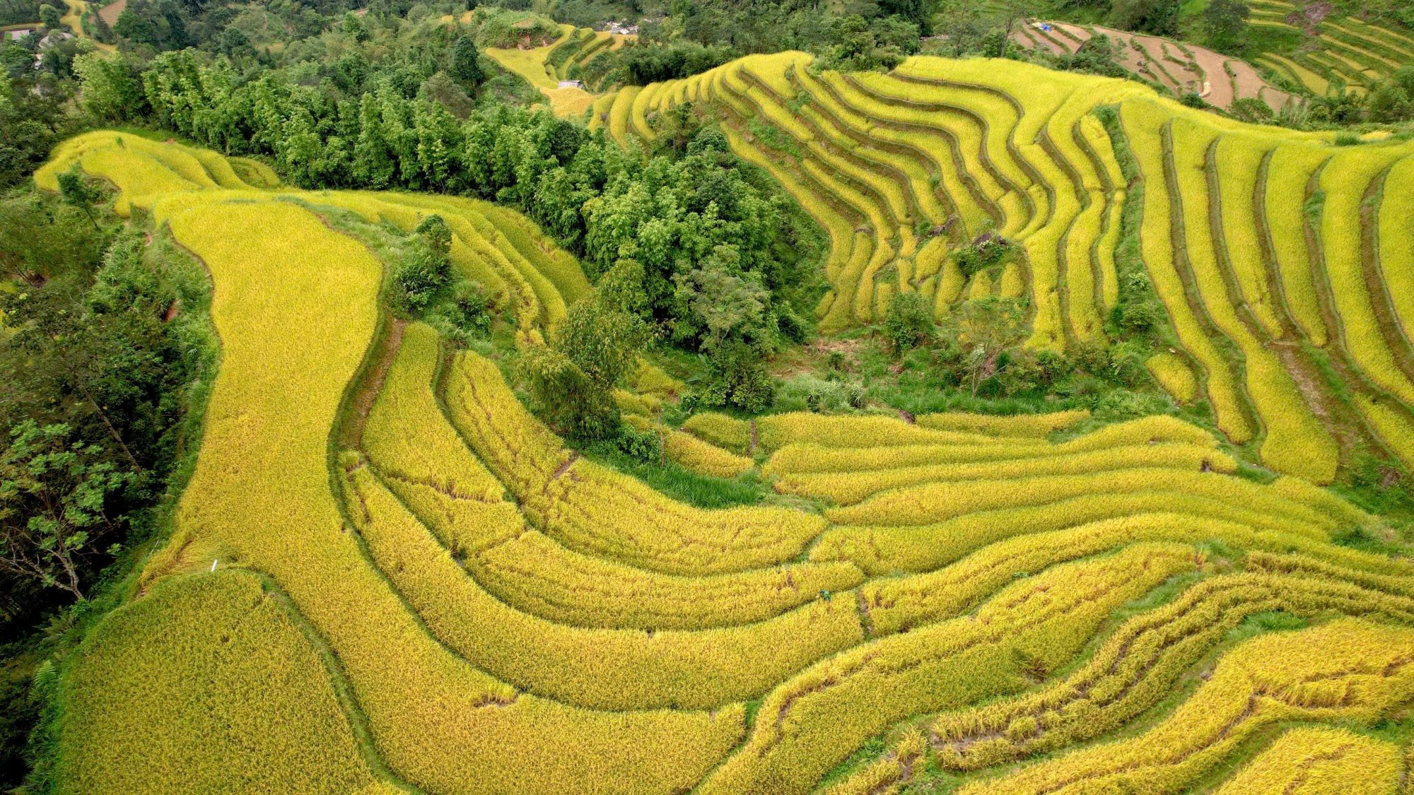 ha-giang-nguon-asia-pacific-3-