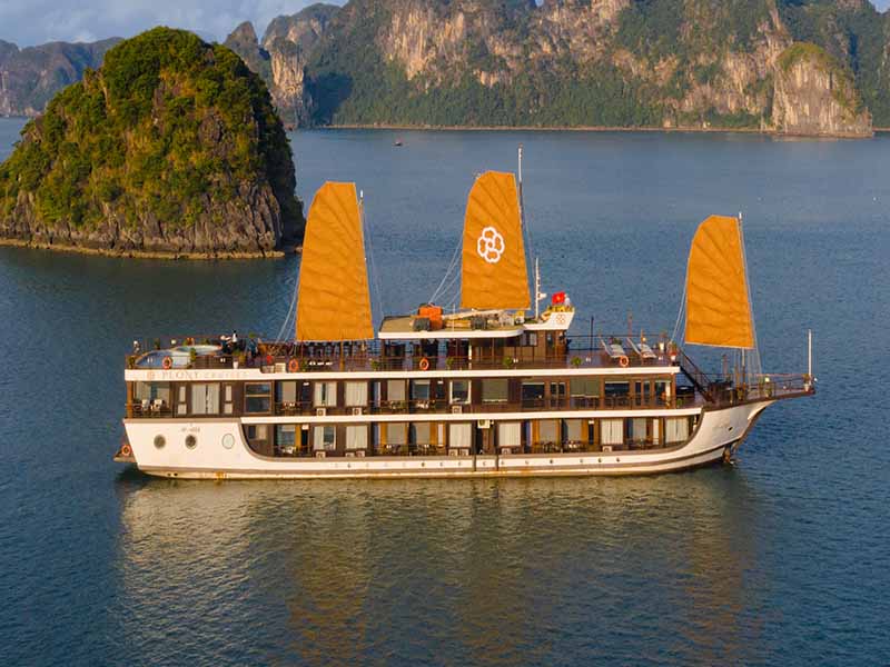 peony-cruises-2-days-1-night