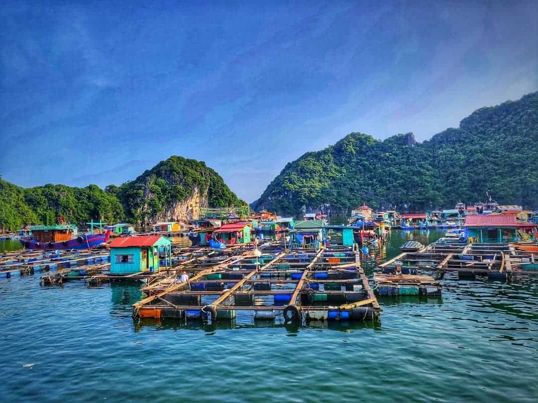 discover-local-life-at-the-fishing-village