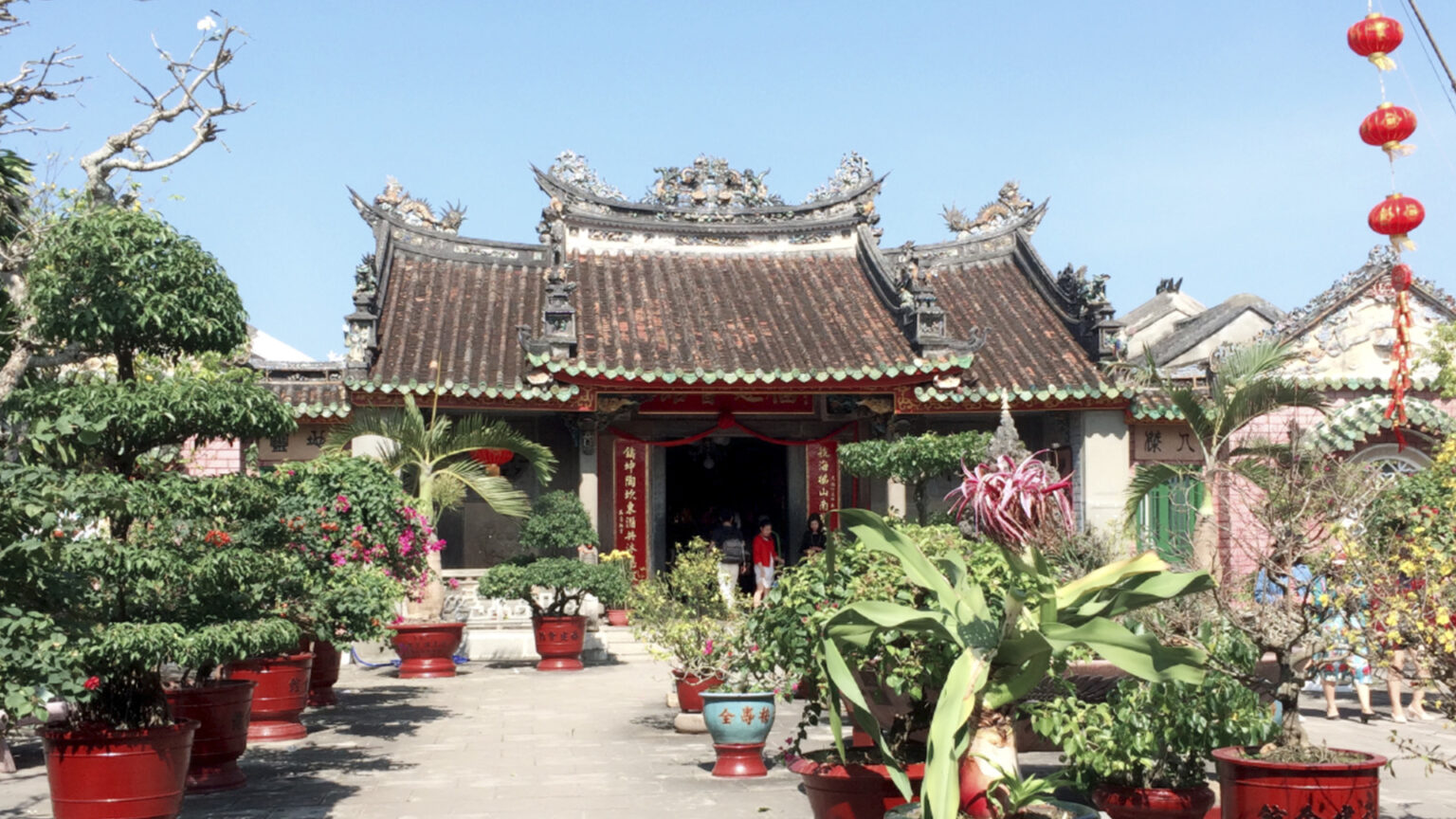 the-front-courtyard-with-bonsai-trees