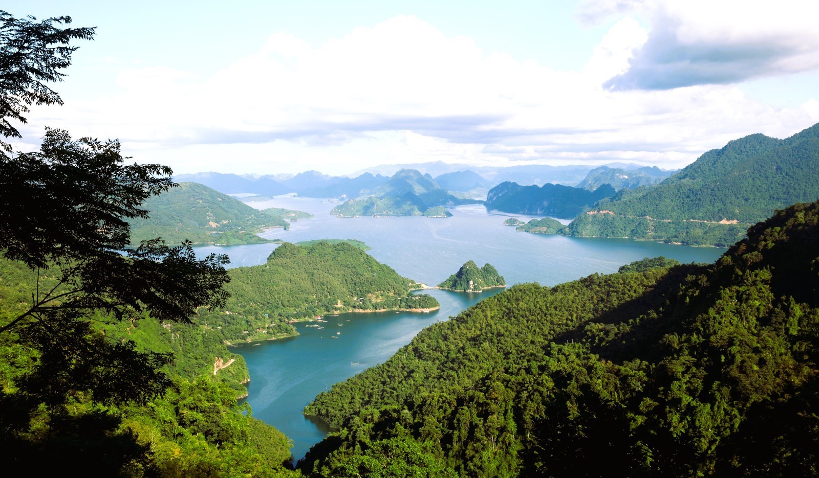ngoi-hoa-bay