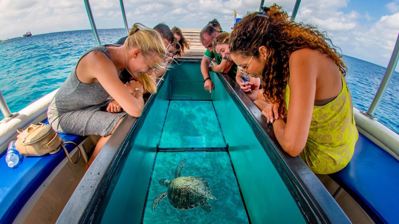 Glass-bottom boat ride (Source: Vinpearl)