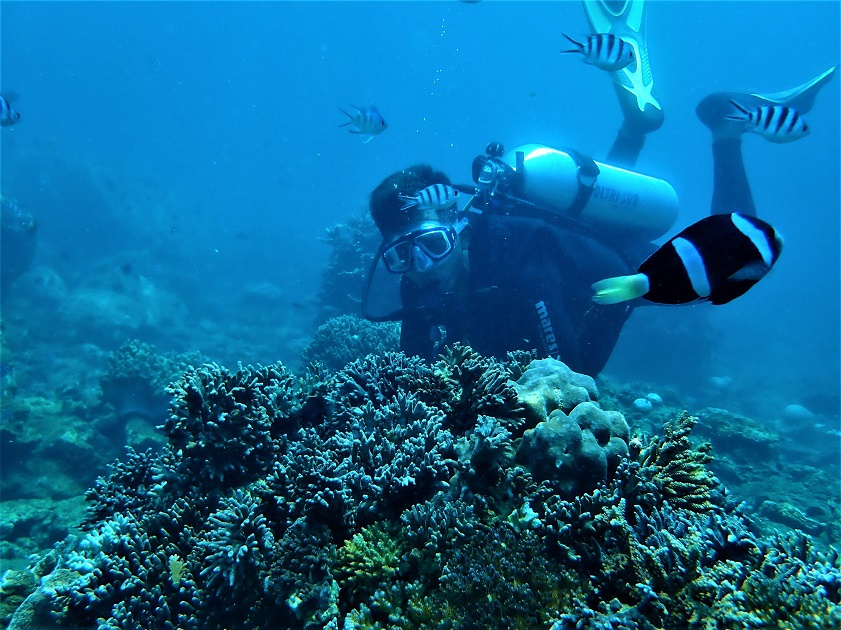 Snorkeling (Source: Vinpearl)