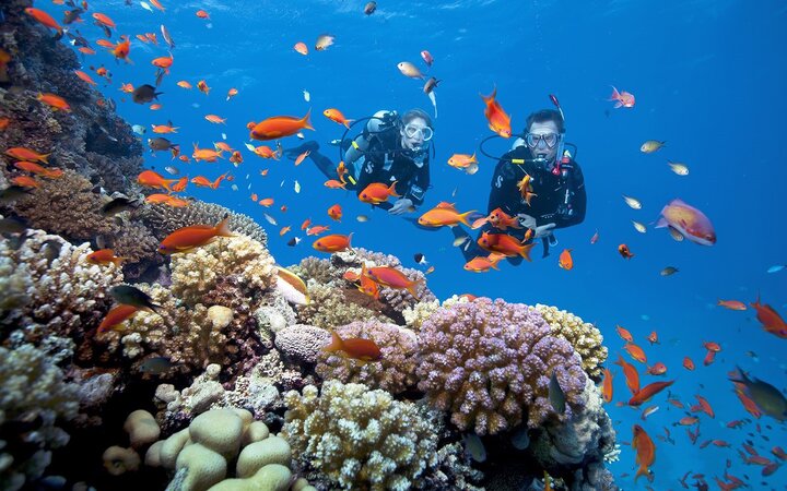 namaste-coral-park