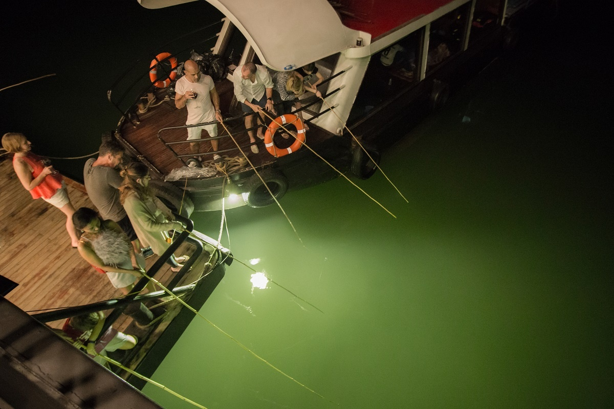 Squid fishing at night