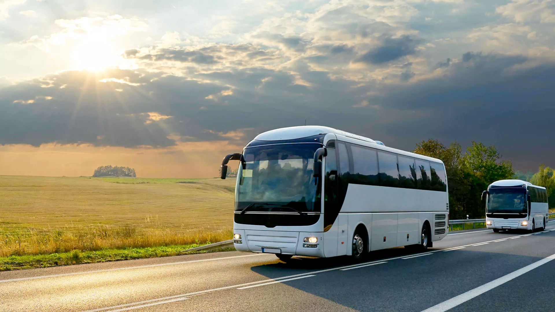tourist-buses