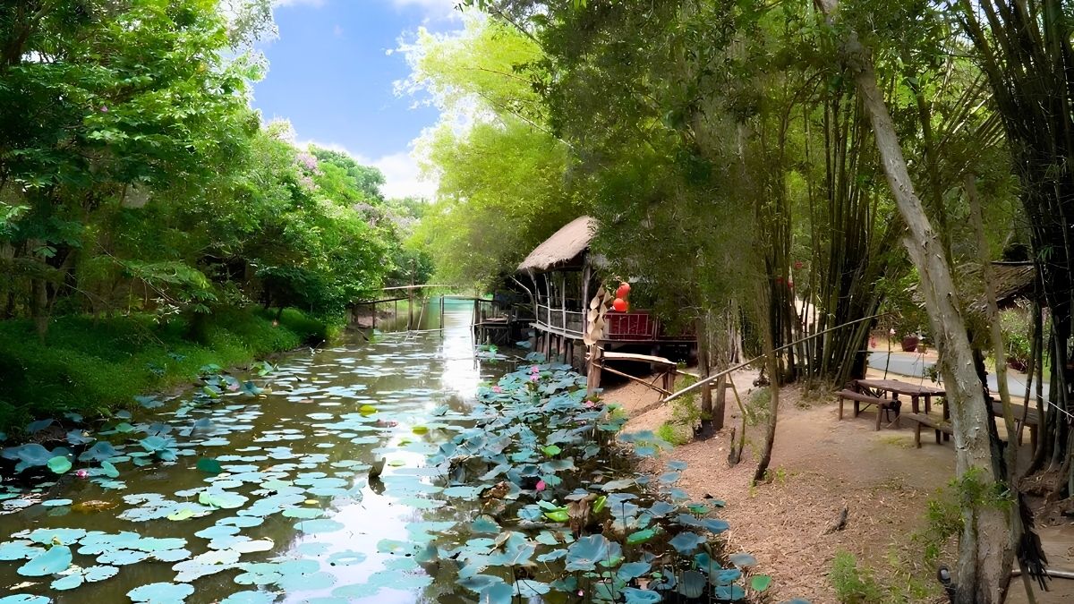 dong-thap-travel-6