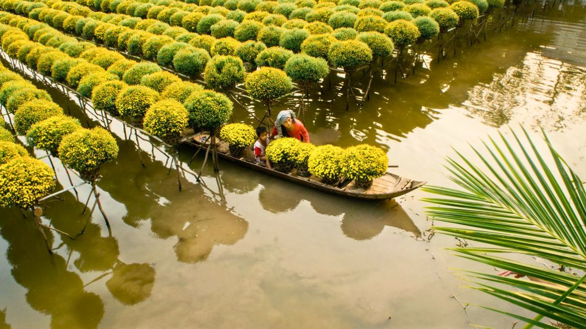 dong-thap-travel-8