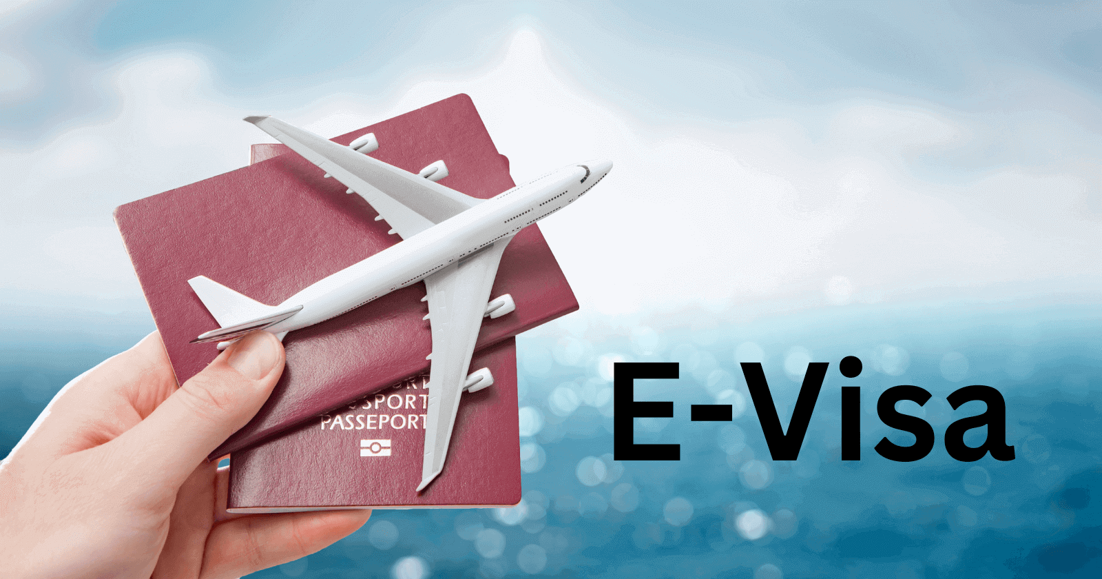e-visa-01