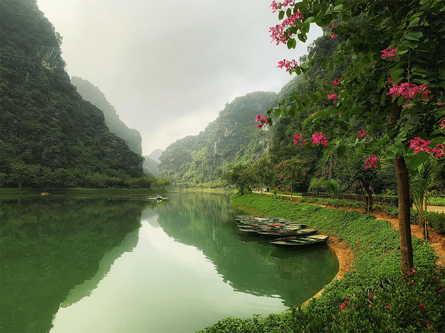 tuyet-tinh-coc-ninh-binh