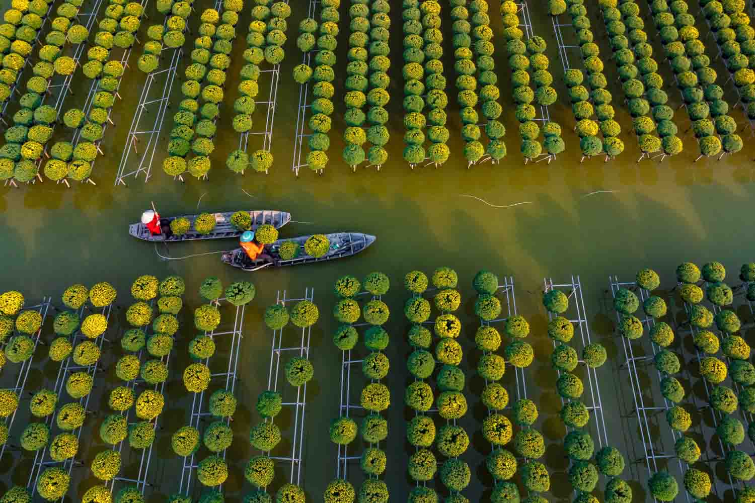 mekong-delta-homestay-tour-05