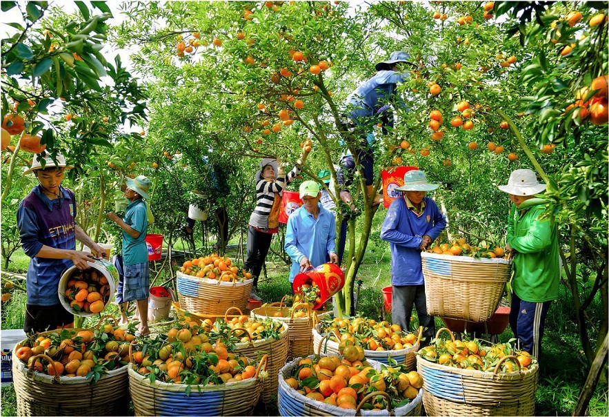 mekong-delta-itinerary-3