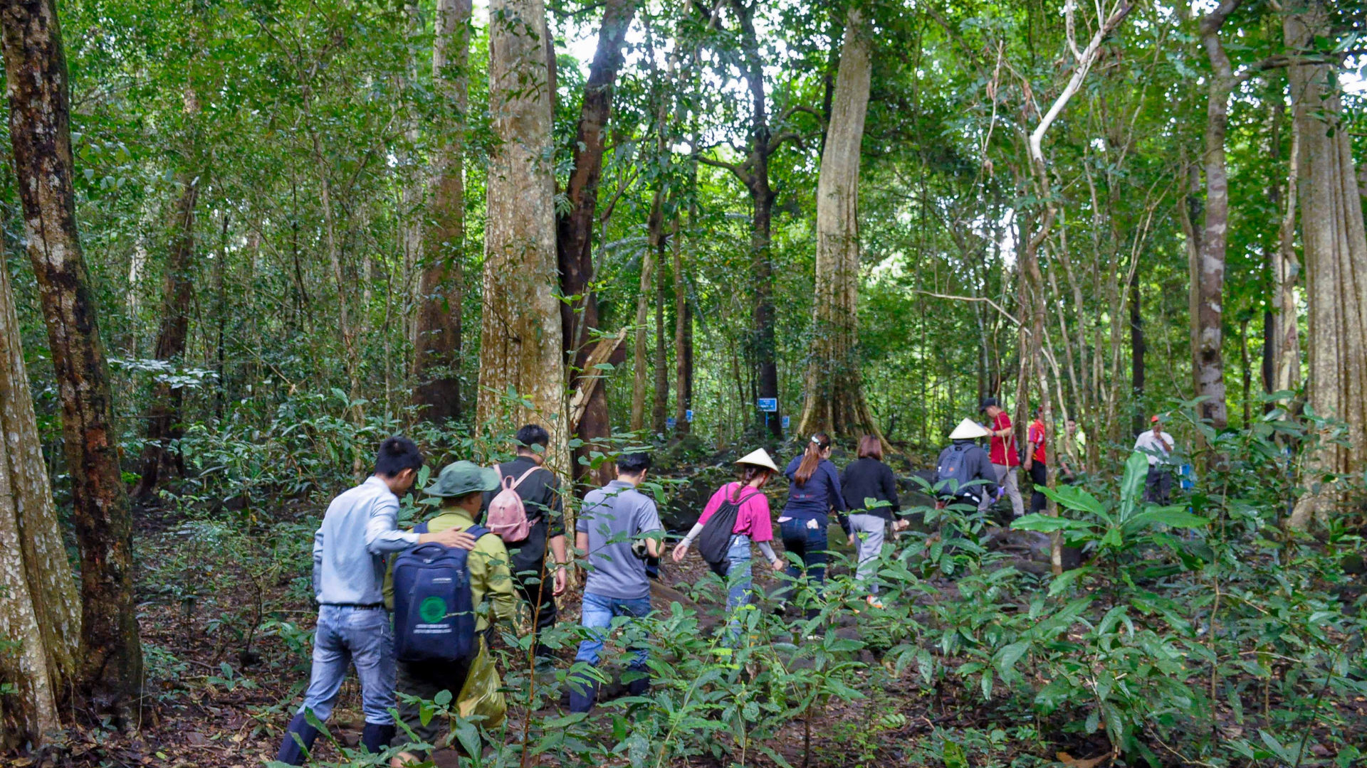 nam-cat-tien-national-park-11
