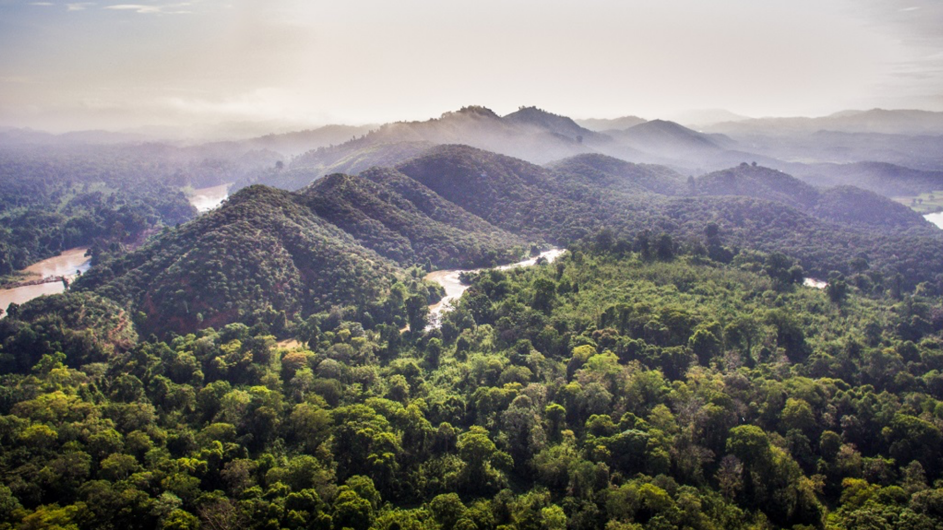 nam-cat-tien-national-park-12