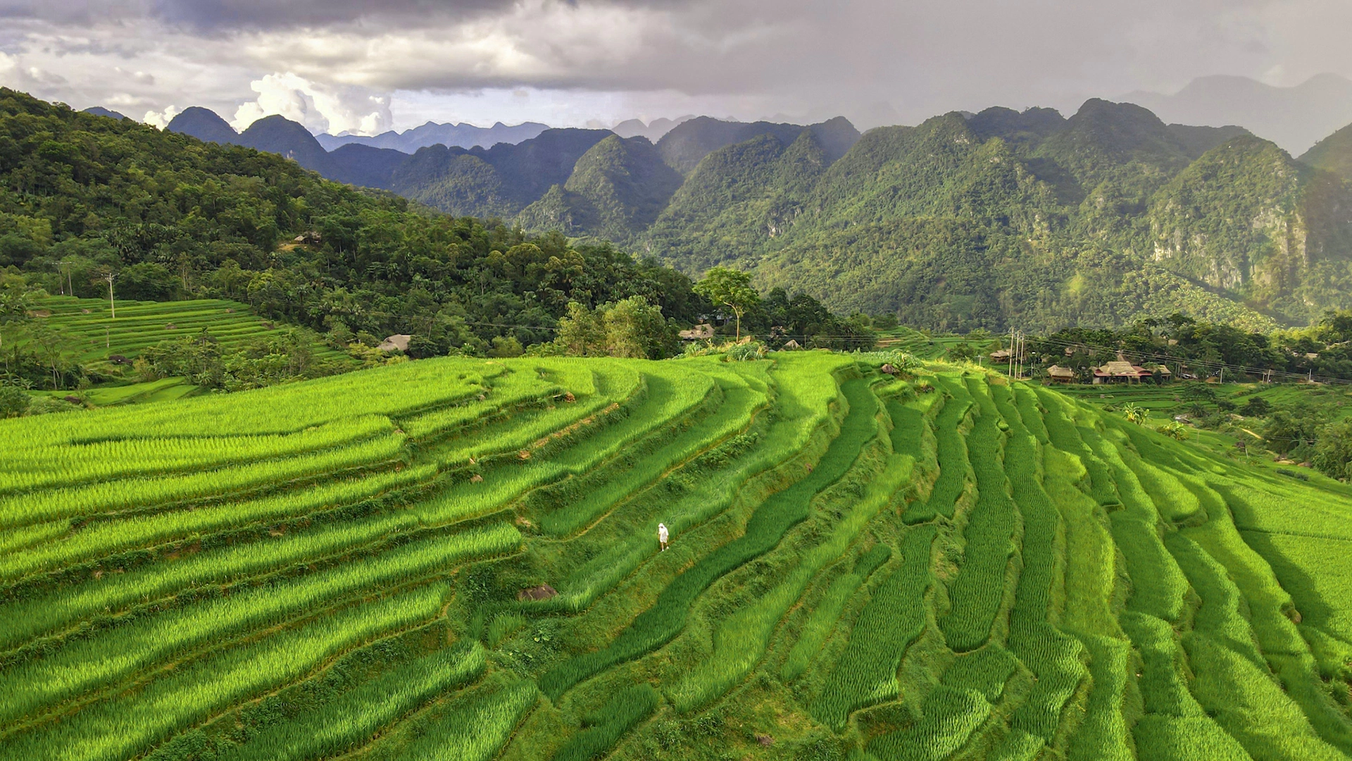 northern-vietnam-1-6-1-