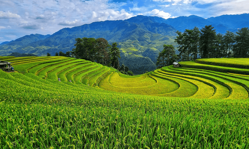 vietnam-ini-12-days-1-