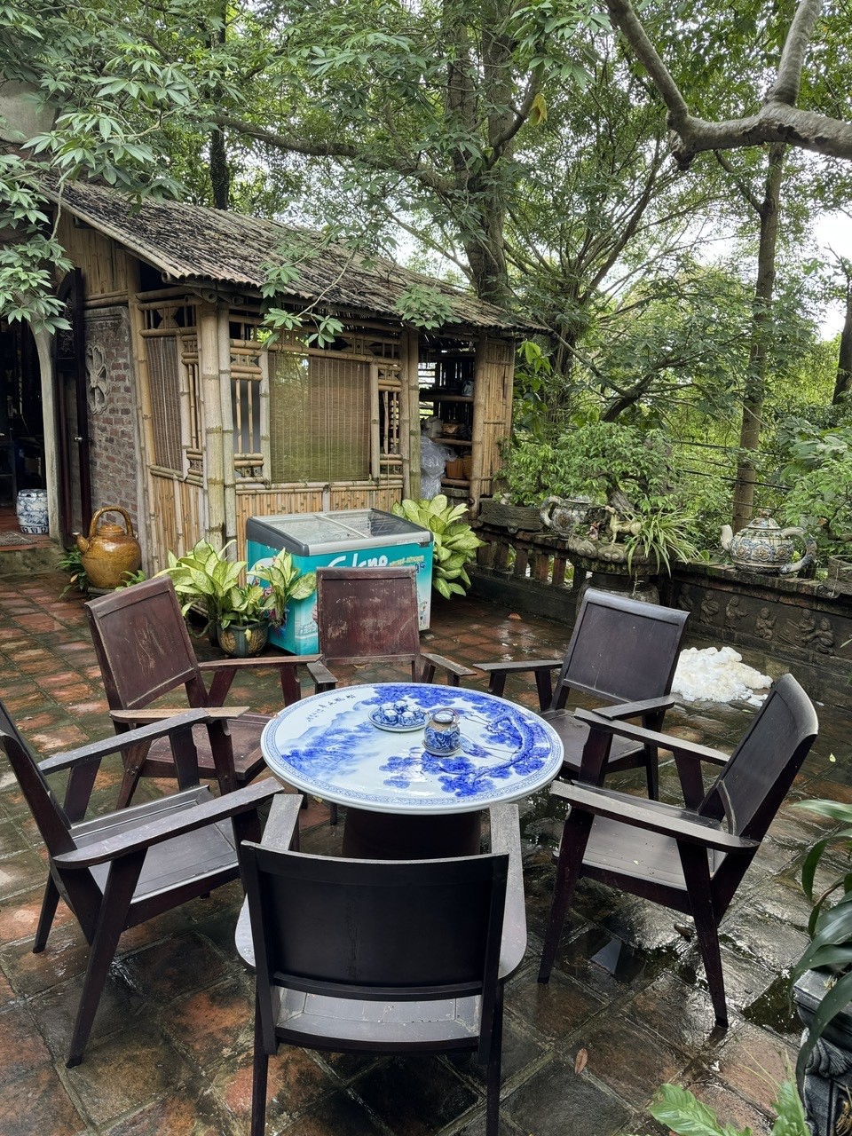 vietphuthanhchuong1-1-