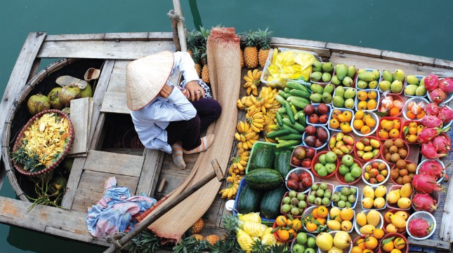 trai-cay-mekong-delta