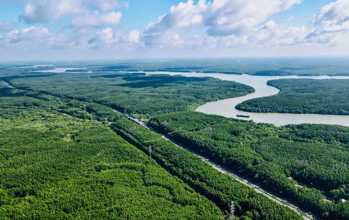 vam-sat-mangrove-forest-5