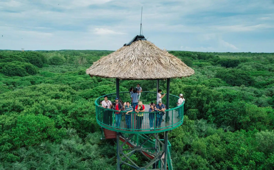 vam-sat-mangrove-forest-7